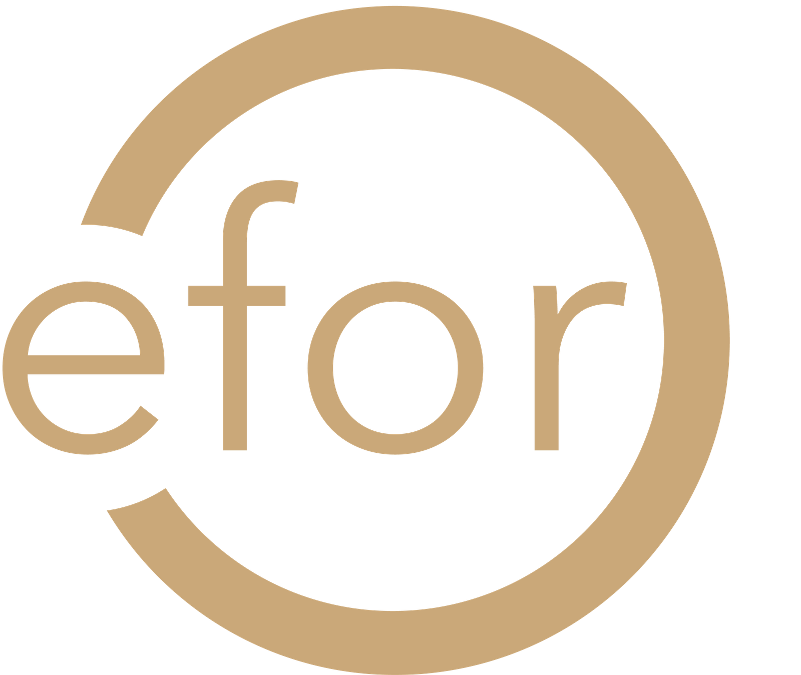 EFOR Groupe - Grenoble